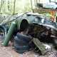 Illustration for article titled Massive Secret Mustang Junkyard Found In Rhode Island Forest
